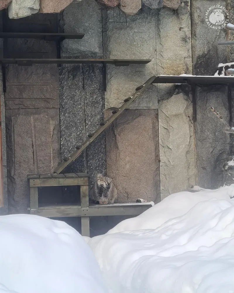 A photograph of Timofey in Moscow zoo
