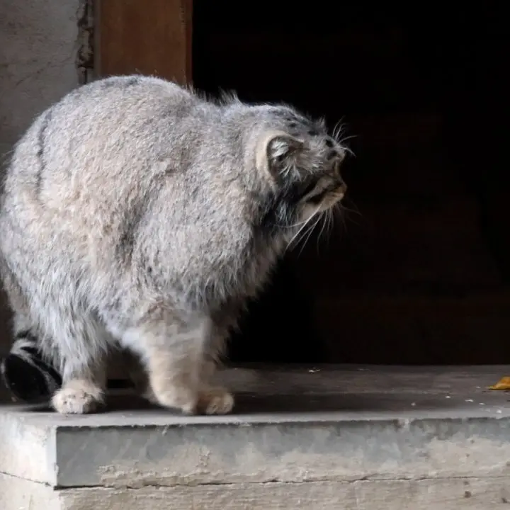 A photograph of Timofey in Moscow zoo
