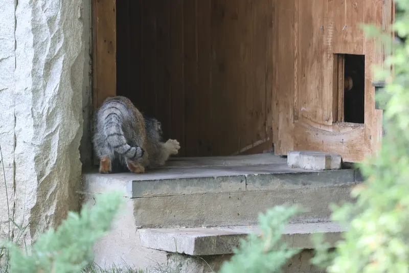 A photograph of Timofey in Moscow zoo