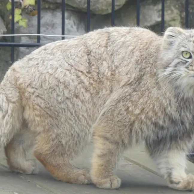 A photograph of Aaron in Bio-Topia Dunkerque
