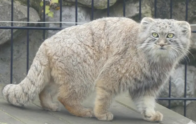 A photograph of Aaron in Bio-Topia Dunkerque