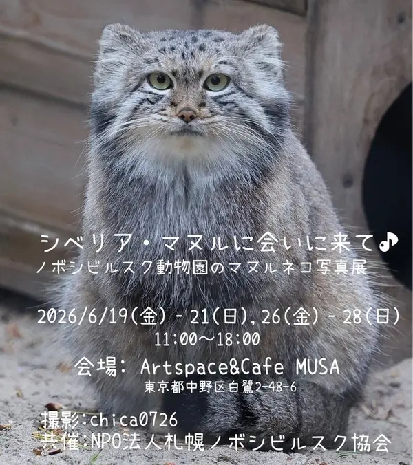 A photograph of Snezhana in Novosibirsk Zoo