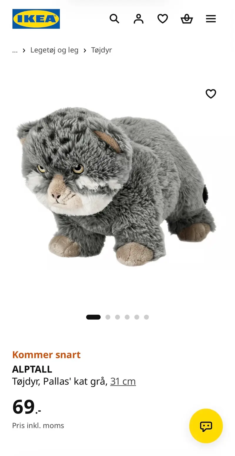 A photograph of a Pallas's cat