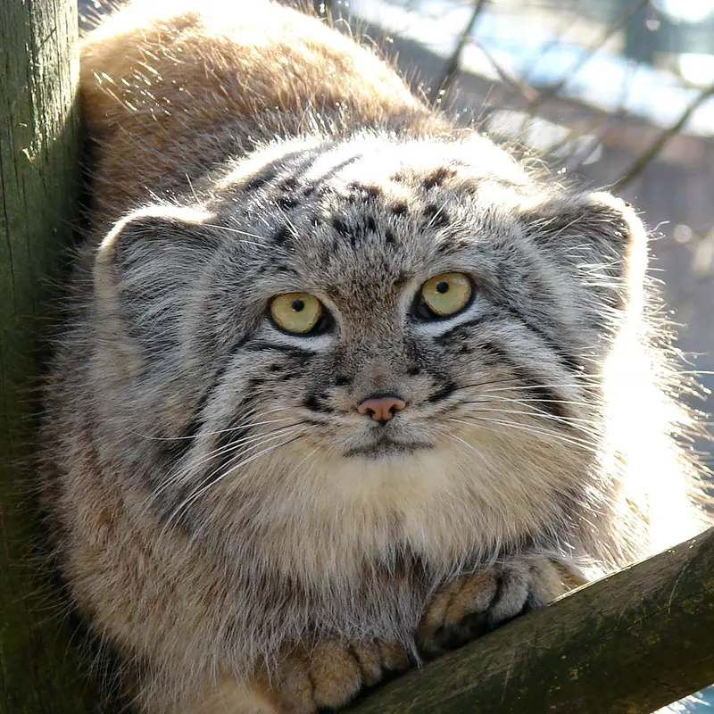 A photograph of Hurst in Riga Zoo