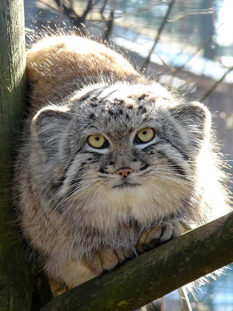 A photograph of Hurst in Riga Zoo
