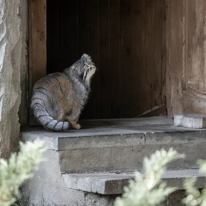 A photograph of Timofey in Moscow zoo