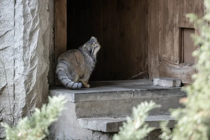 A photograph of Timofey in Moscow zoo