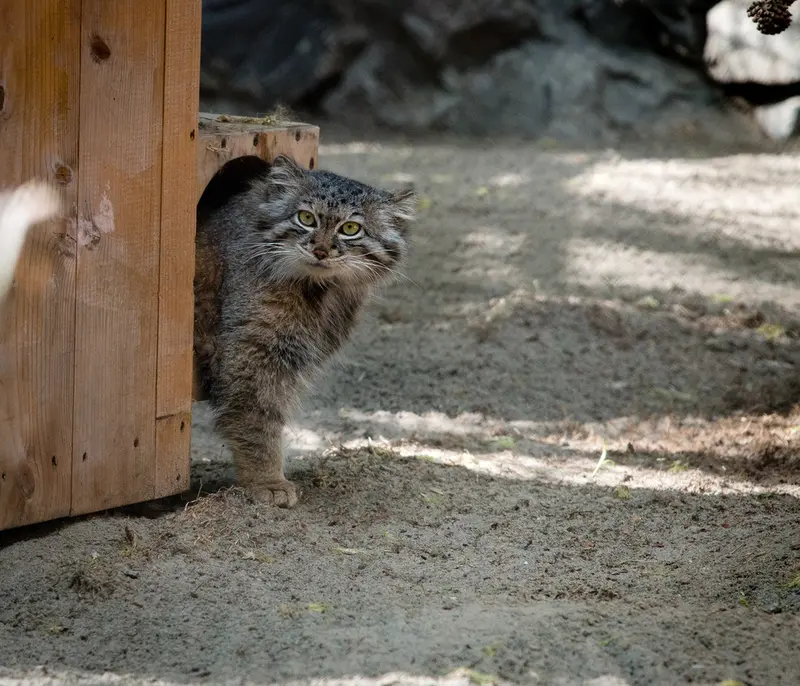 A photograph of Snezhana in Novosibirsk Zoo