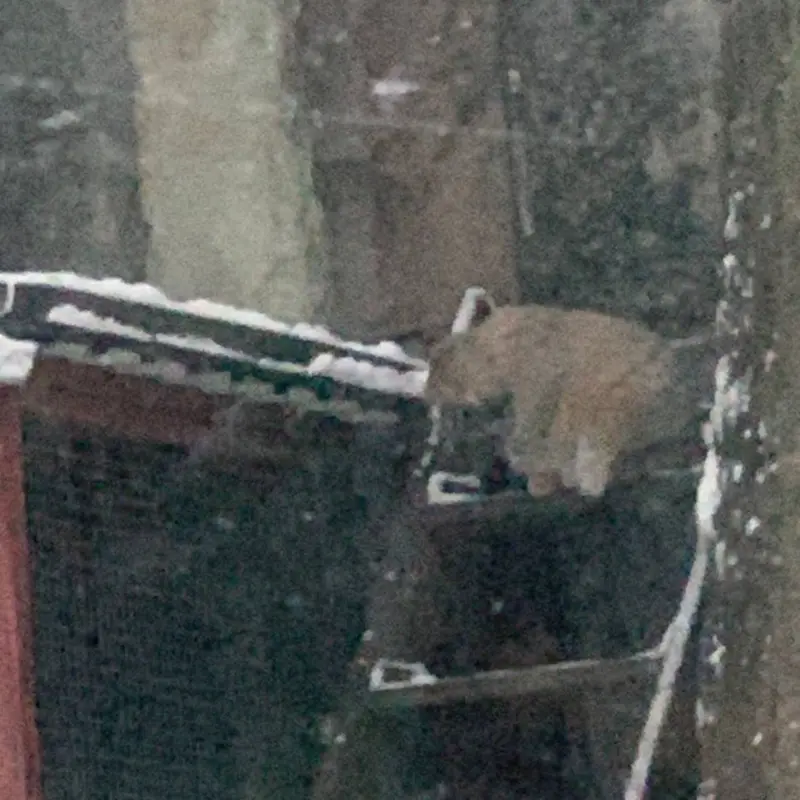 A photograph of Timofey in Moscow zoo