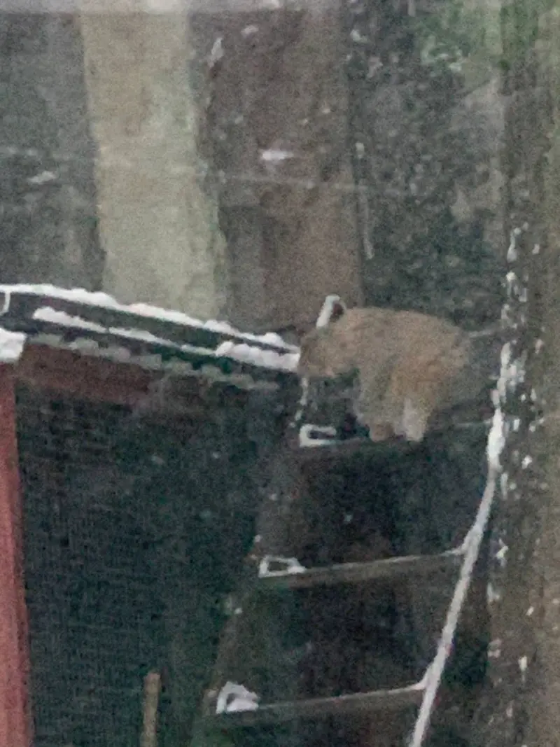 A photograph of Timofey in Moscow zoo