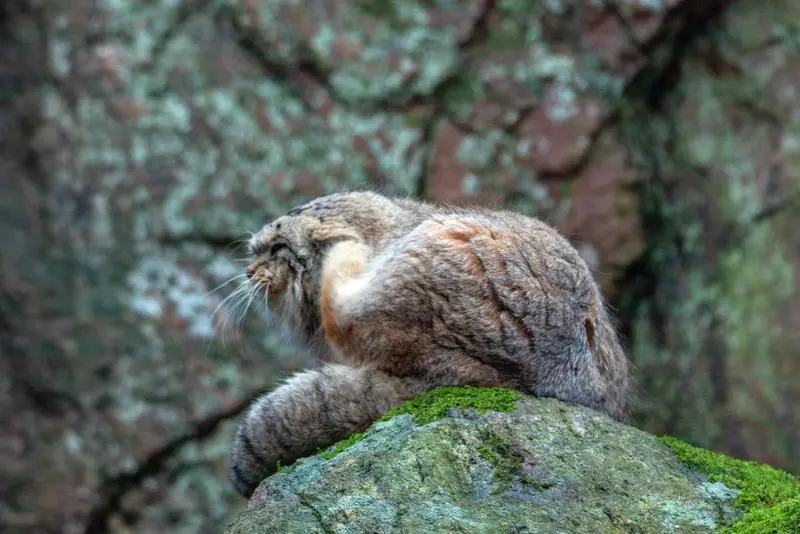 A photograph of Thomas O'Malley in Nordens Ark