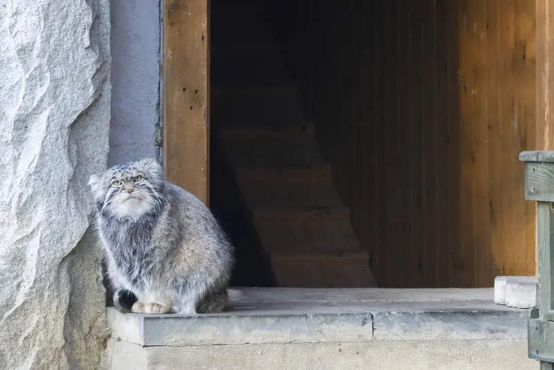 A photograph of Timofey in Moscow zoo