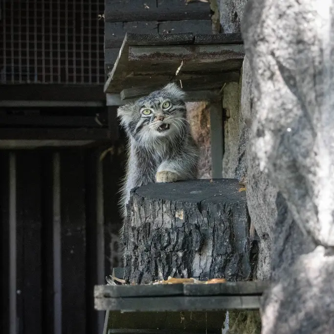 A photograph of Timofey in Moscow zoo