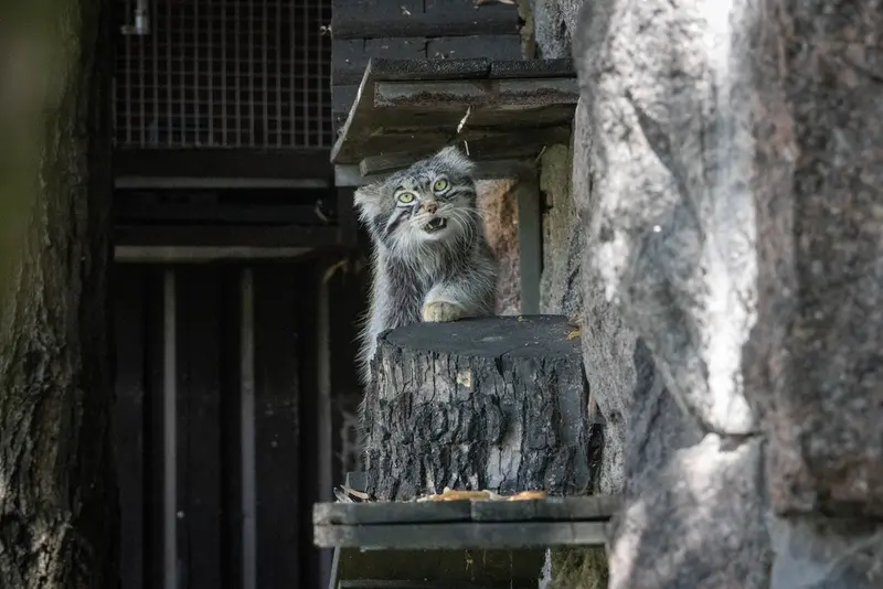 A photograph of Timofey in Moscow zoo
