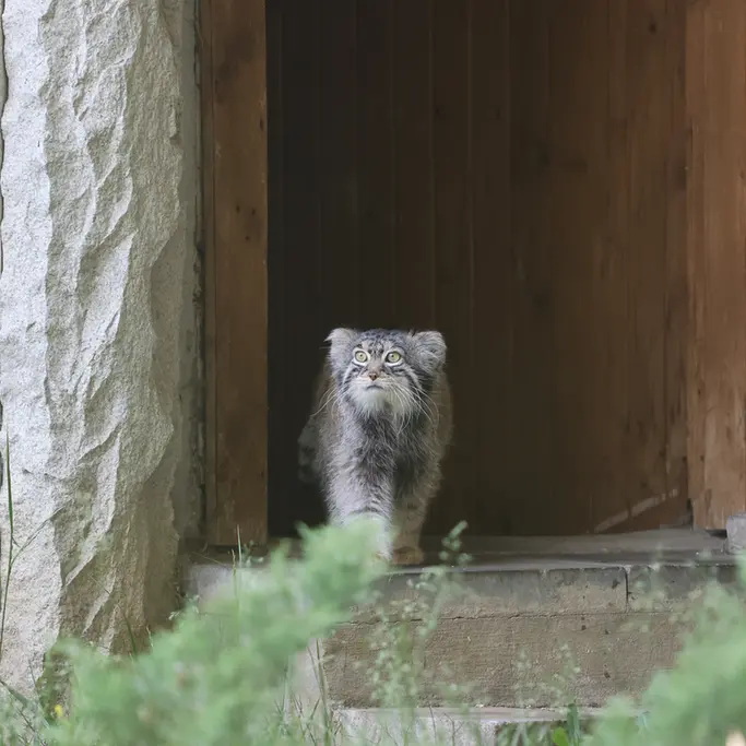 A photograph of Timofey in Moscow zoo