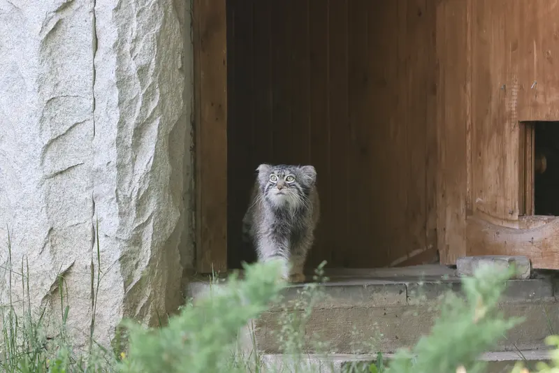 A photograph of Timofey in Moscow zoo