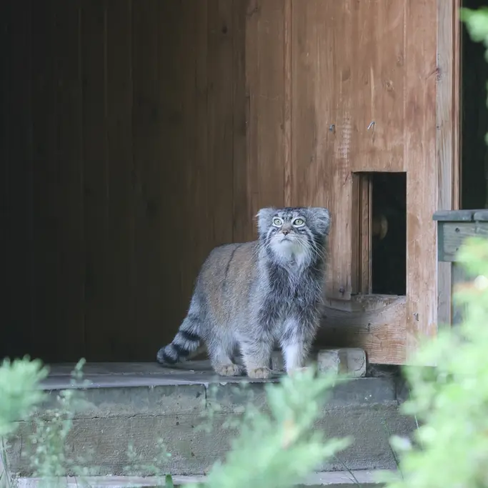 A photograph of Timofey in Moscow zoo