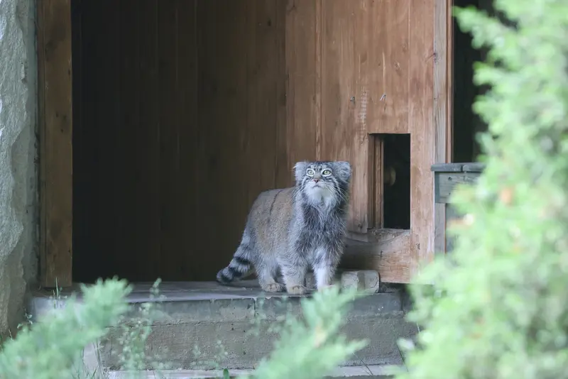 A photograph of Timofey in Moscow zoo