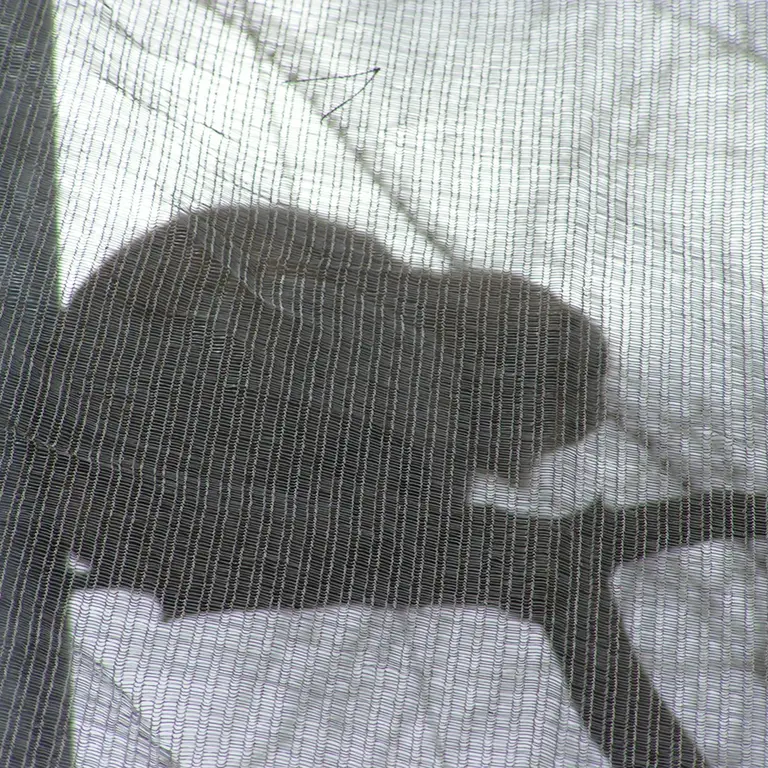 A photograph of Bat-Erdene in The Lakeland Wildlife Oasis