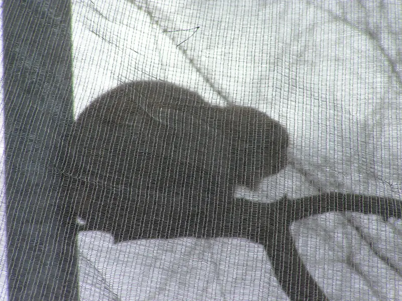 A photograph of Bat-Erdene in The Lakeland Wildlife Oasis