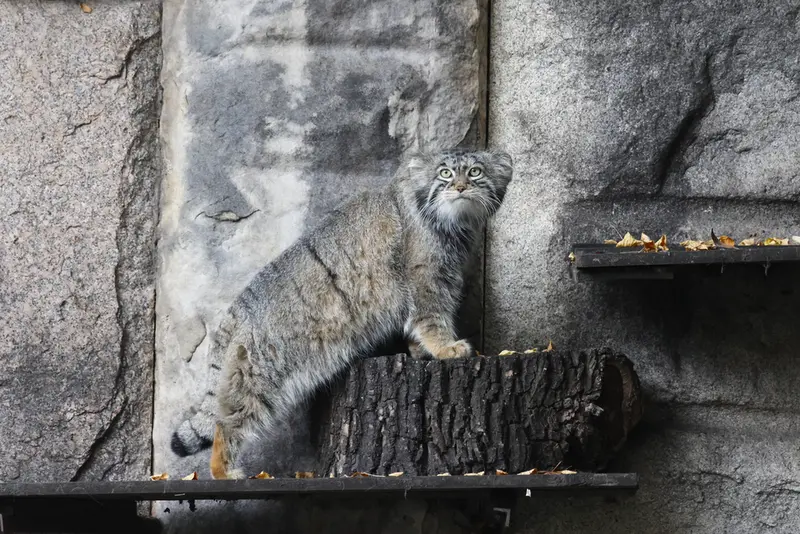 A photograph of Timofey in Moscow zoo
