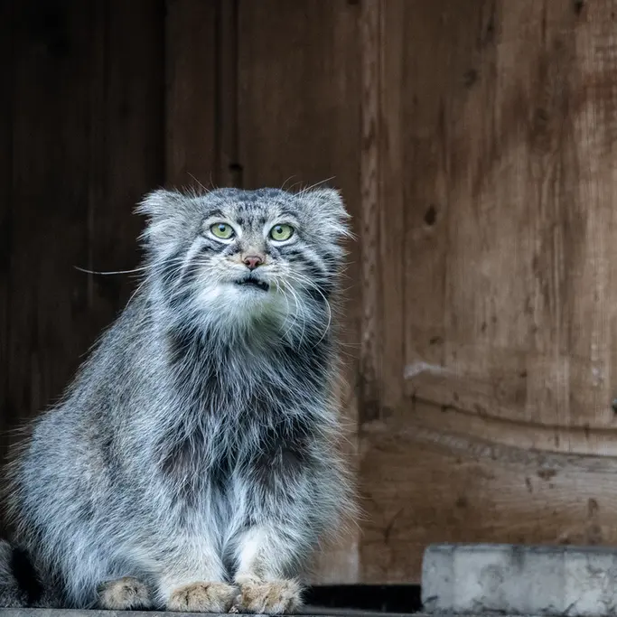 A photograph of Timofey in Moscow zoo