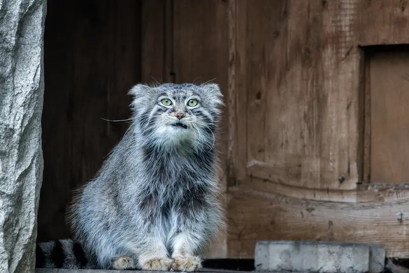 A photograph of Timofey in Moscow zoo