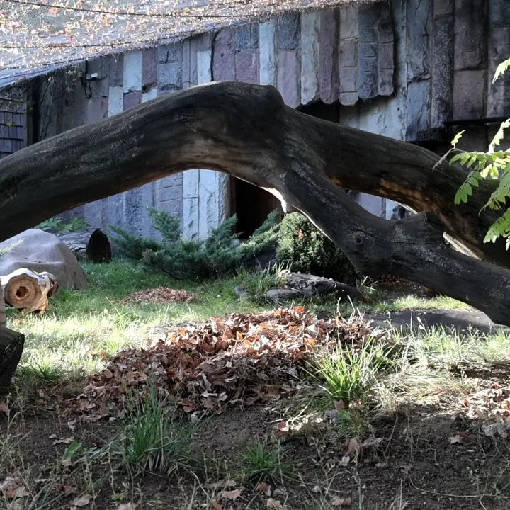 A photograph of Timofey in Moscow zoo
