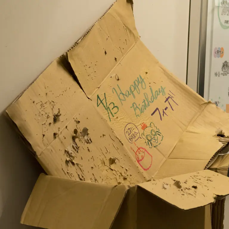 A photograph of Figa in Nogeyama Zoo