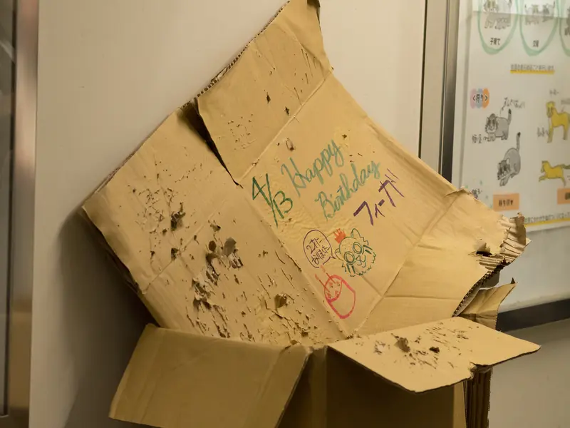 A photograph of Figa in Nogeyama Zoo