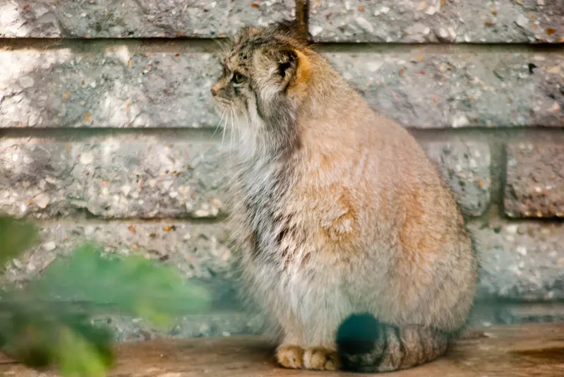 A photograph of Manuela in Magdeburg Zoo