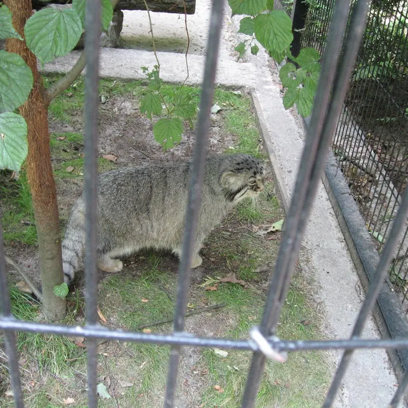 A photograph of Manuel in Kraków Zoo