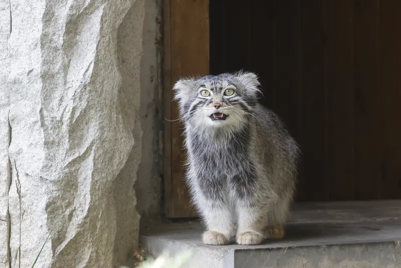 A photograph of Timofey in Moscow zoo