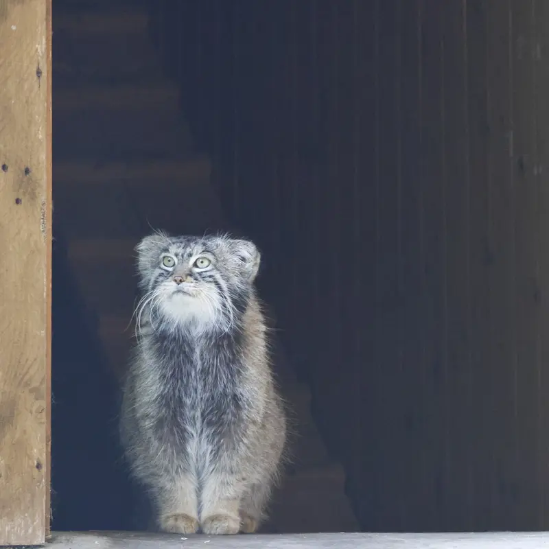 A photograph of Timofey in Moscow zoo