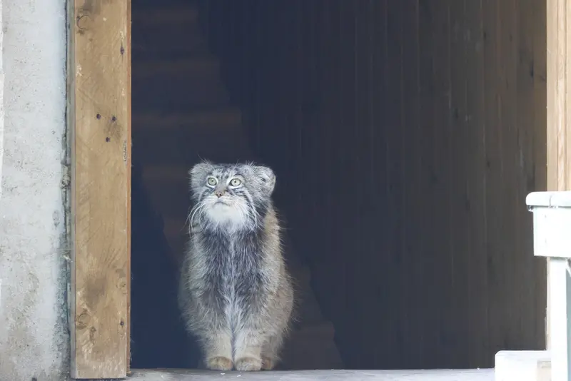 A photograph of Timofey in Moscow zoo