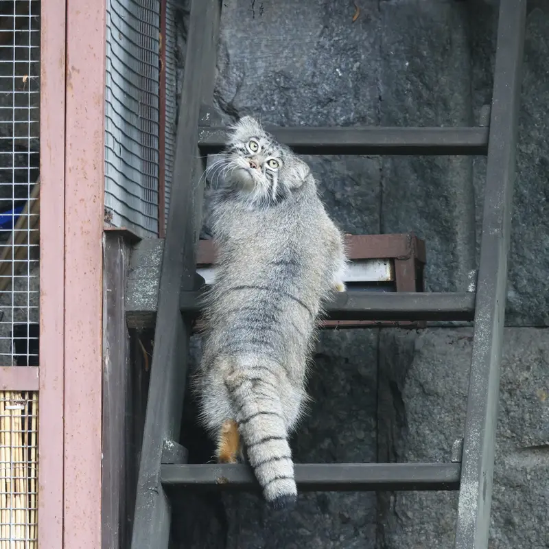 A photograph of Timofey in Moscow zoo
