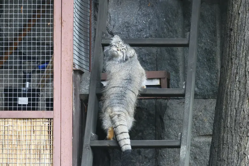 A photograph of Timofey in Moscow zoo