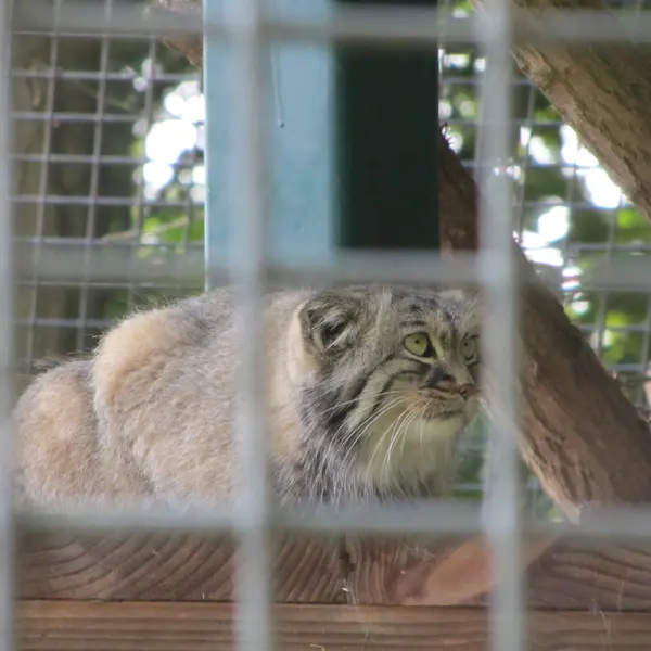 A photograph of Karl-Heinz in Saarbrücken Zoo