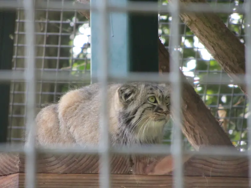 A photograph of Karl-Heinz in Saarbrücken Zoo