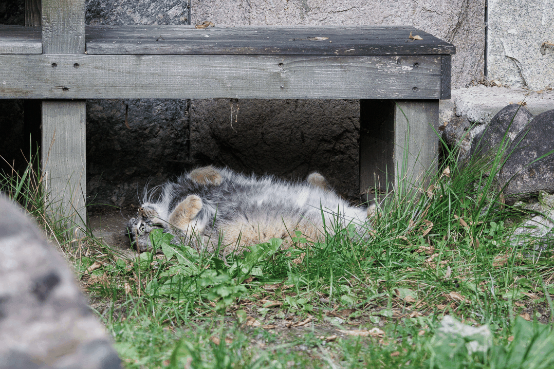 A photograph of Timofey in Moscow zoo