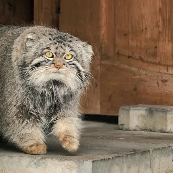 A photograph of Timofey in Moscow zoo