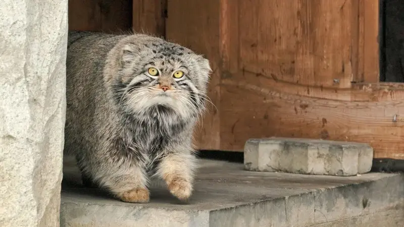 A photograph of Timofey in Moscow zoo