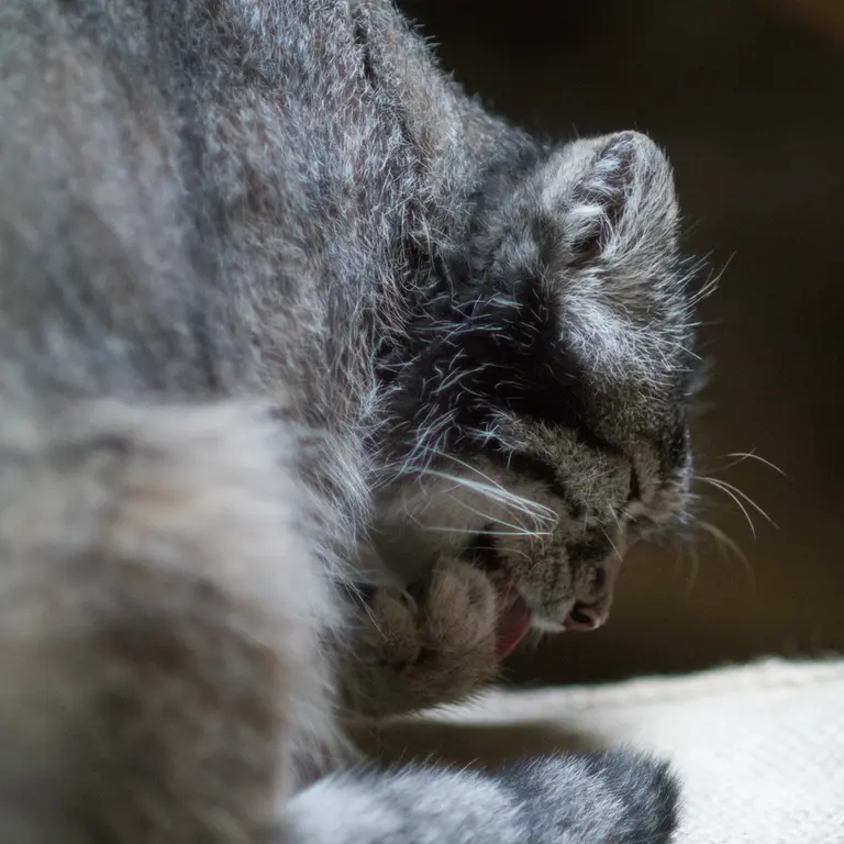 A photograph of Klyon in Ueno Zoological Gardens