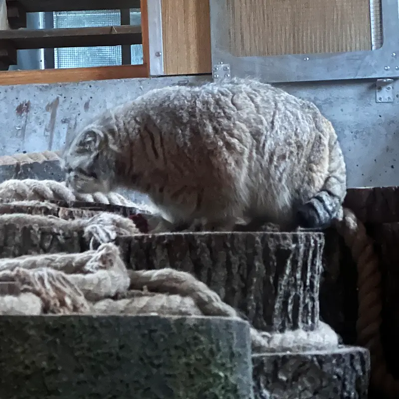 A photograph of Manuel in Gdansk Zoo