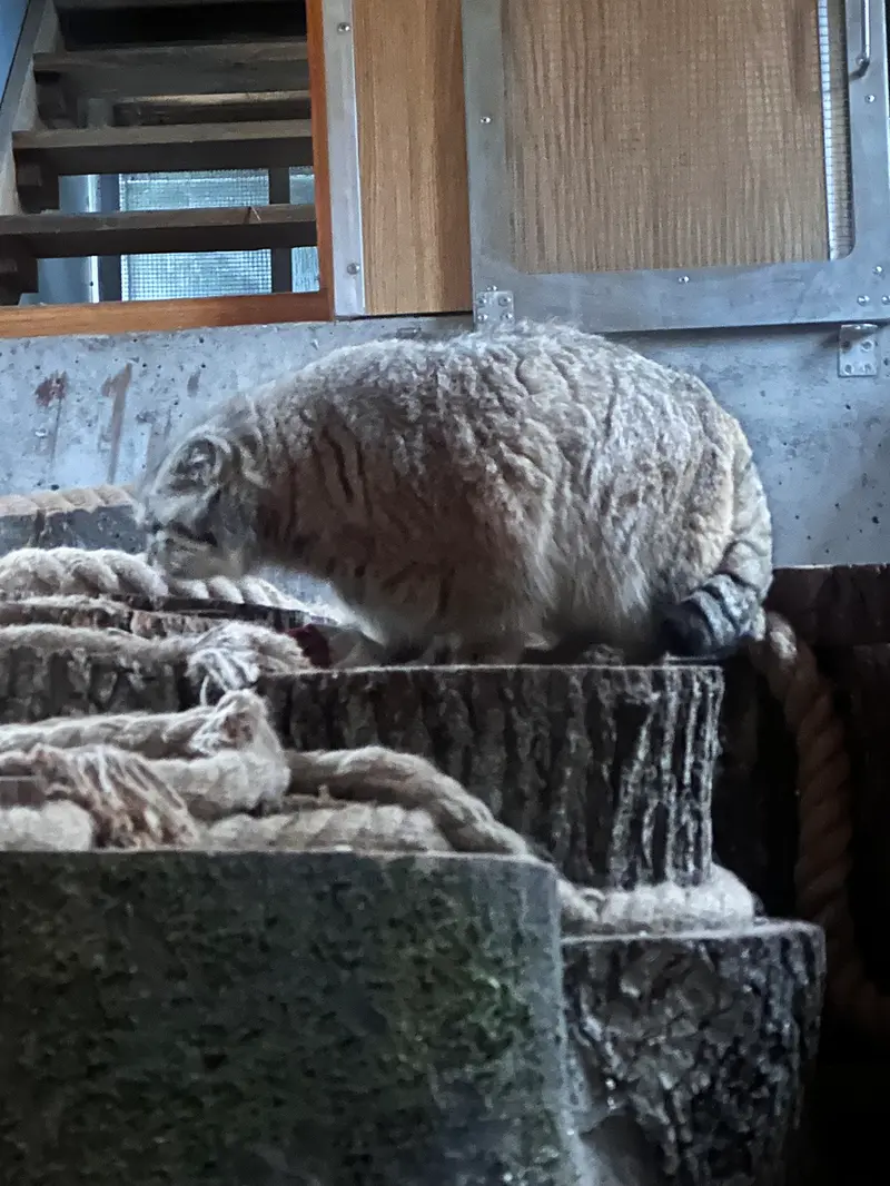 A photograph of Manuel in Gdansk Zoo