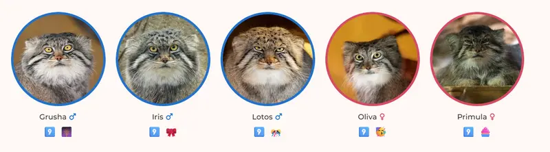 The flowers are 9 now!