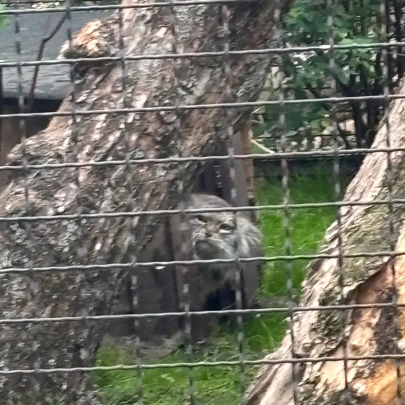 A photograph of Jessie in Warsaw Zoo