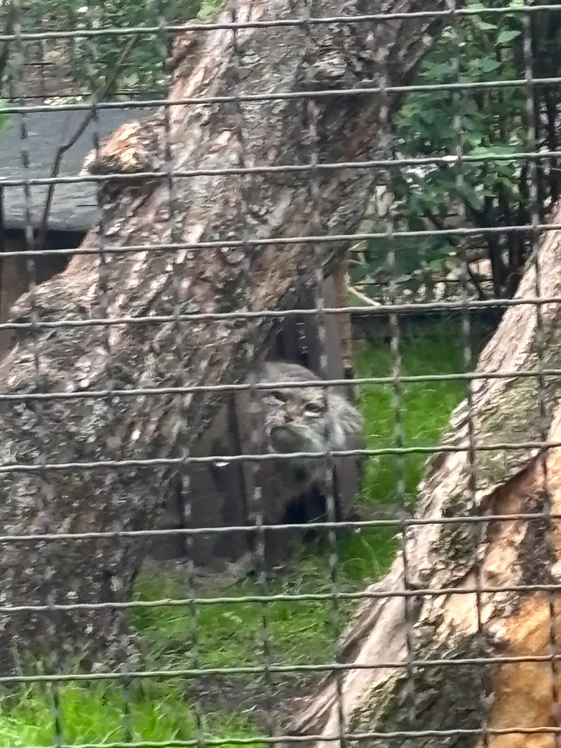 A photograph of Jessie in Warsaw Zoo