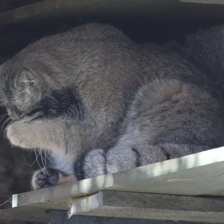 A photograph of Timofey in Moscow zoo