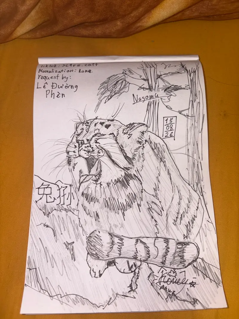Back to the drawings!